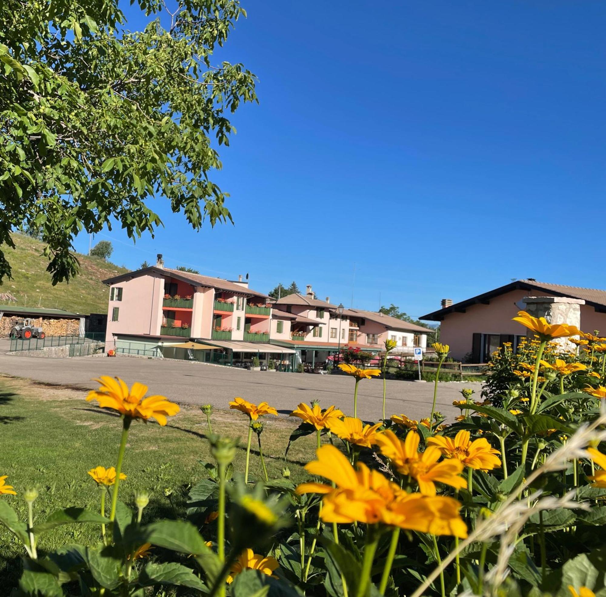 Hotel Edelweiss San Zeno di Montagna Dış mekan fotoğraf